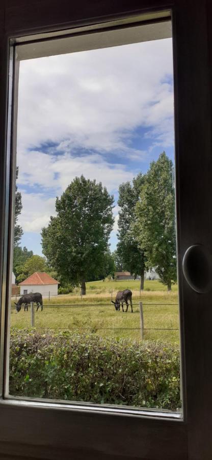 Chambres D'Hotes B&B Cote D'Opale La Fermette Du Lac Ardres Esterno foto